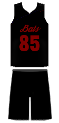 Dres týmu