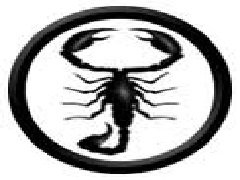 Лого тима 