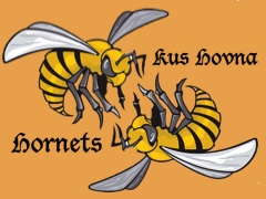 Logo tima