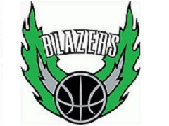 Team logo 