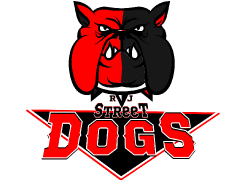 Logo tima