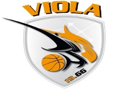 Logo della squadra 