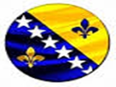 Logo tima