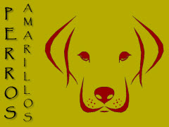 Logo tima