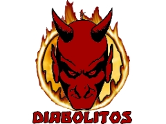 Team logo 