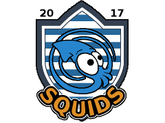 Logo tima