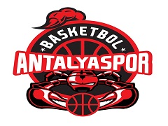 Team logo 
