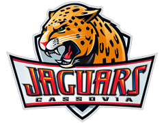 Logo della squadra 