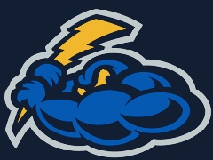 Logo týmu