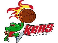 Team logo