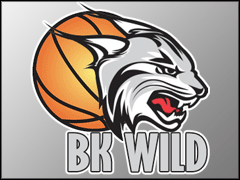 Logo tima