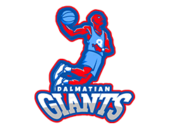 Лого на тимот 
