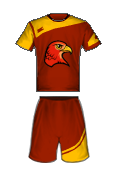 Uniforme do time