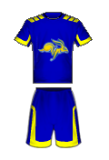 Teamtrikot