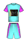 Momčadski dres