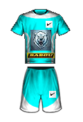 Uniforme do time