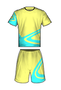 Teamtrikot