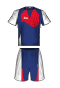 Teamtrikot