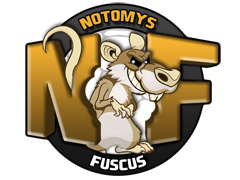 Team logo 