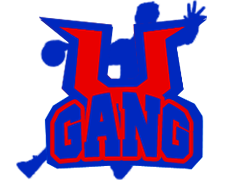 Logo tima