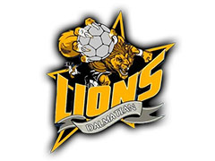 Лого на отбора 