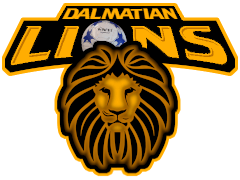 Team logo 