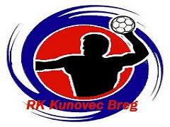 Team logo 