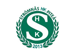 Team logo 