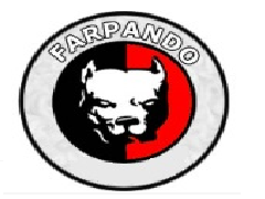 Logo della squadra 