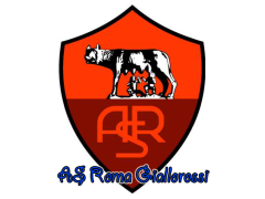 Team logo 