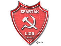 Team logo 