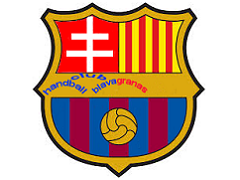 Team logo 