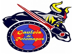 Team logo 