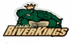 Team logo 