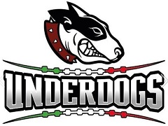 Logo tima