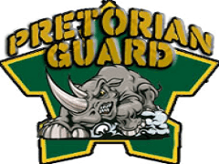 Team logo 