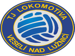 Team logo 