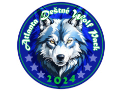 Team logo 