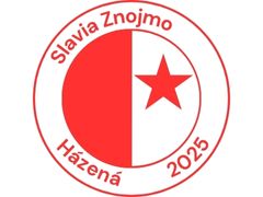 Team logo 