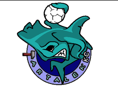 Team logo 