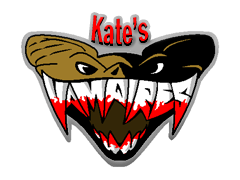 Team logo 