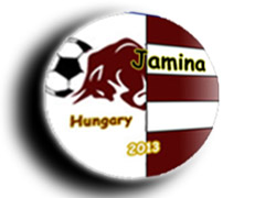 Teamlogo 