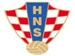 Team logo 