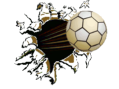 Team logo 