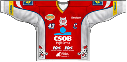 Camiseta del equipo