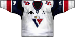 Teamtrikot