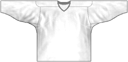 Camiseta del equipo