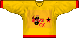 Camiseta del equipo