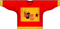 Camiseta del equipo