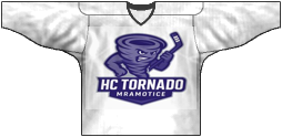 Teamtrikot